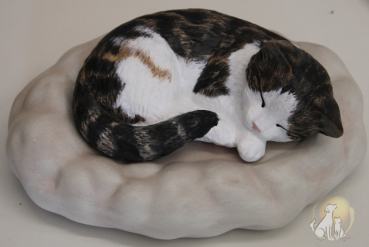 Preview: Tierurne Katze auf Wolke/Kissen, 1 Liter, versch. Ausführungen Preview: Katze auf Wolke Beispiel Fotovorlage